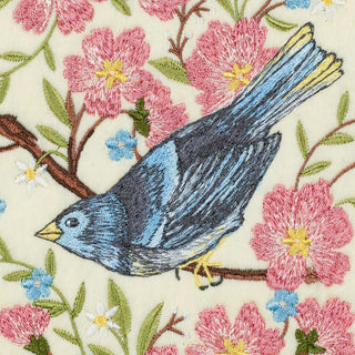 Blue Finch Songbird