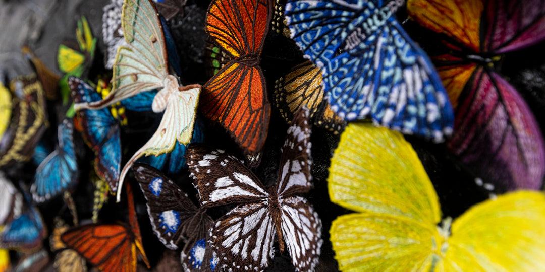 Introducing Anita’s Blog