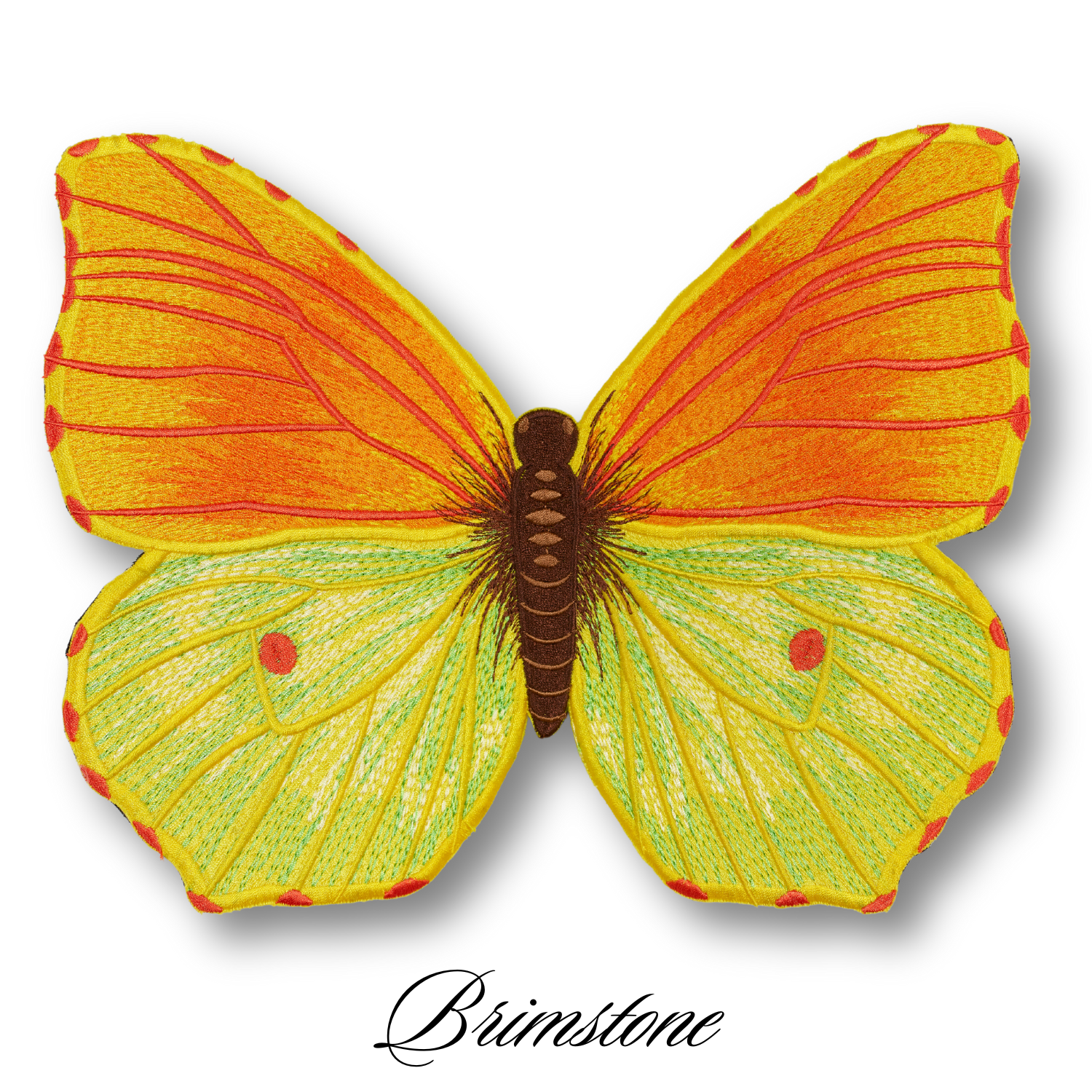 Brimstone Butterfly #9- Acrylic Mount