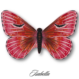 Butterfly Studies Pre-Order