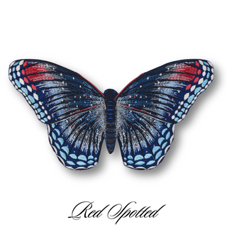 Butterfly Studies Pre-Order