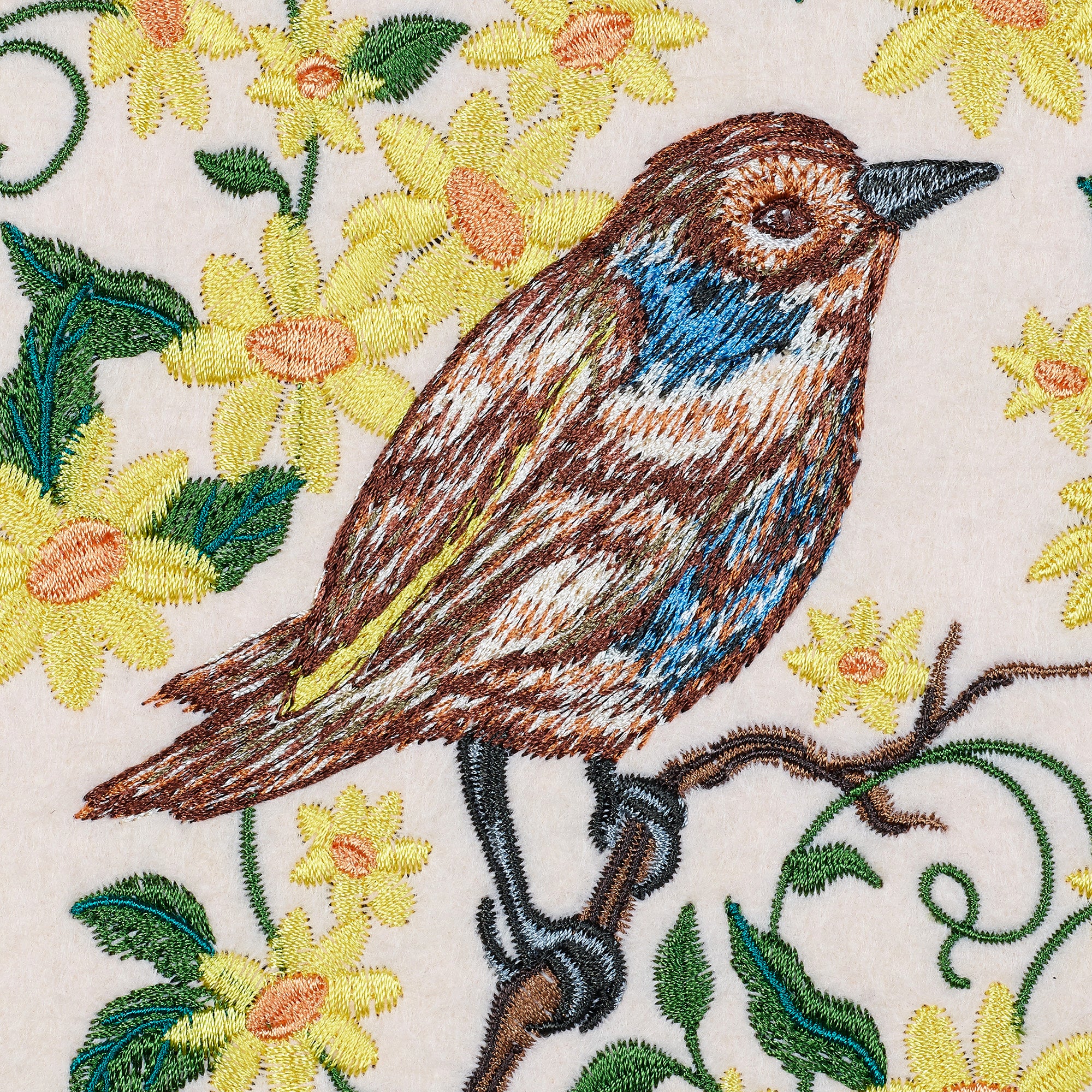 Bluethroat Flycatcher Songbird