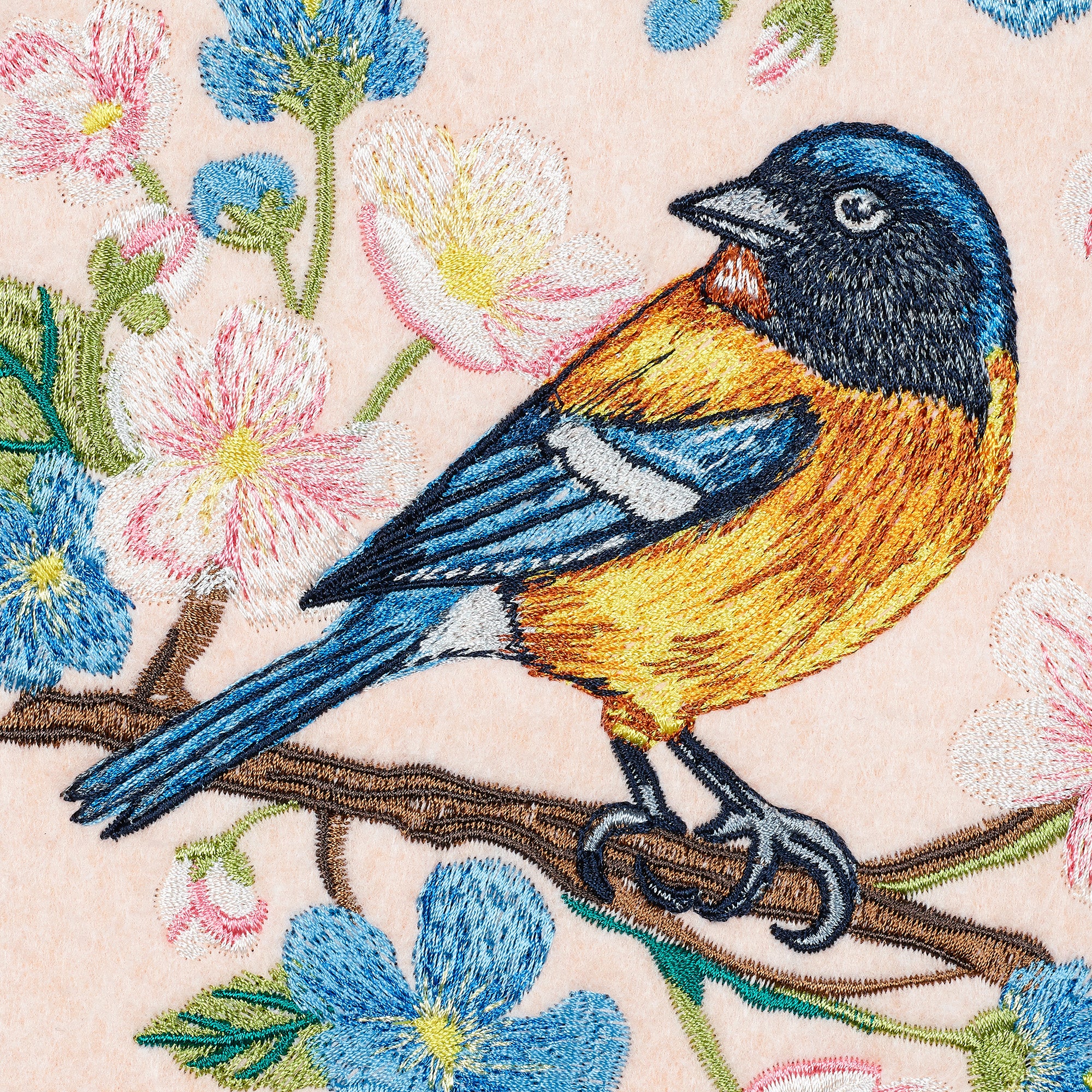 Yellow Tanager Songbird