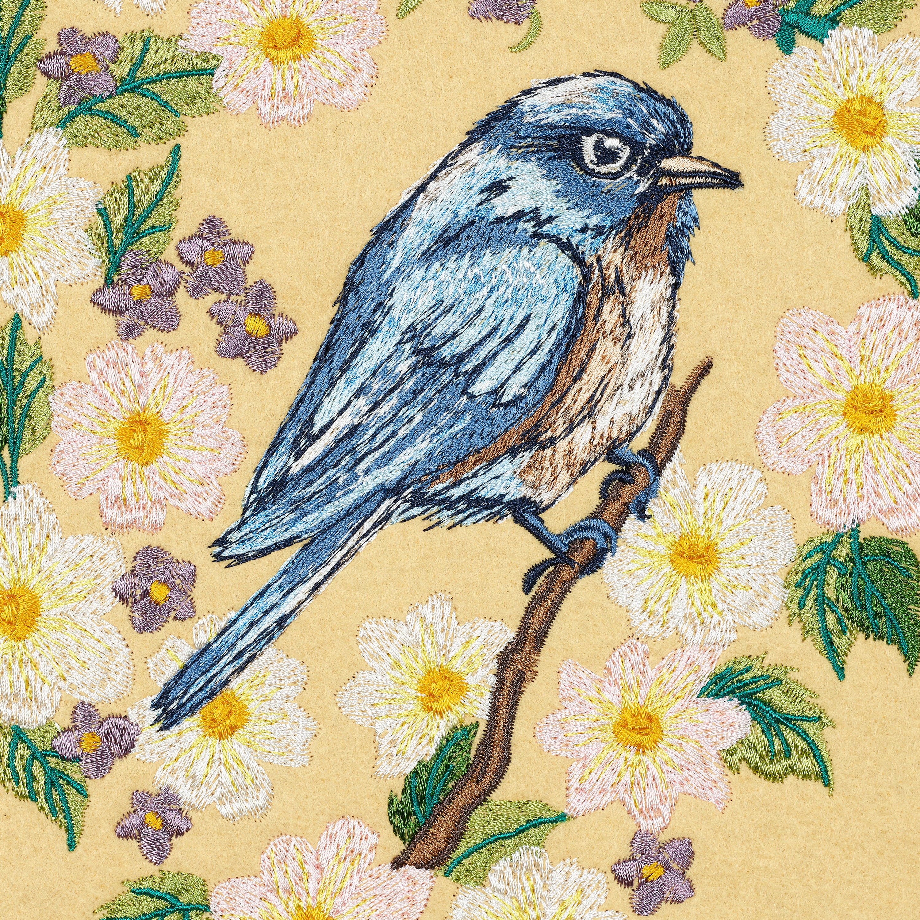 Eastern Carolina Bluebird