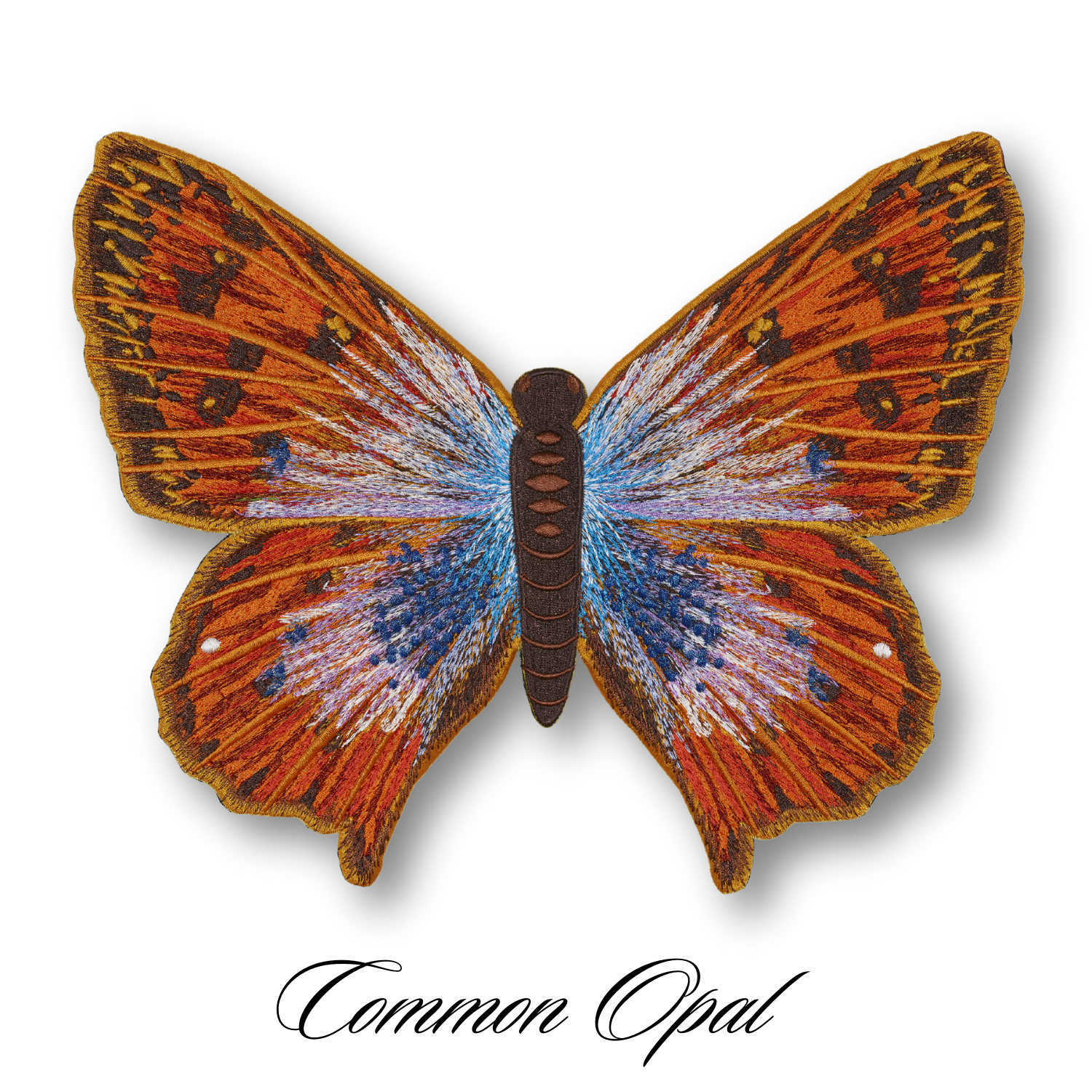 Common Opal Butterfly #13- Acrylic Mount