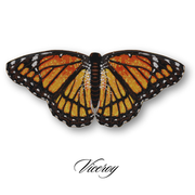 Viceroy Butterfly