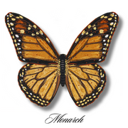 Monarch Butterfly #1- Acrylic Mount
