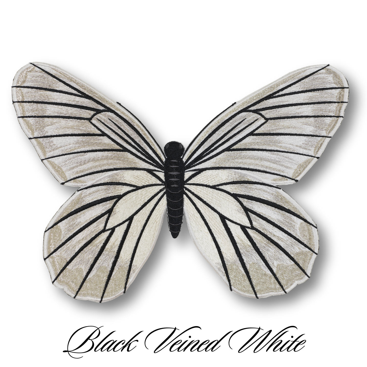 Black Veined Butterfly #4- Acrylic Mount