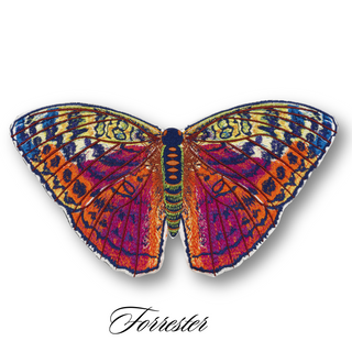 Butterfly Studies Pre-Order