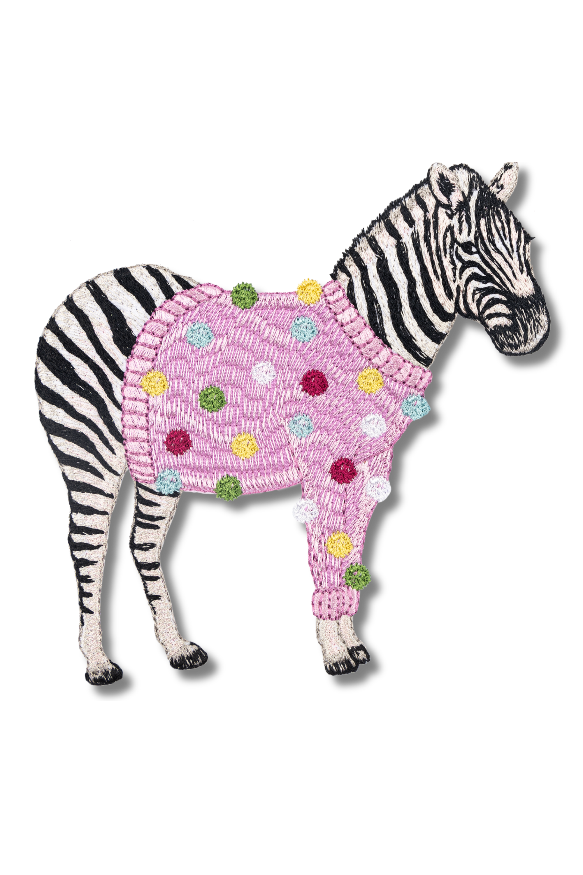 Zebra in a Sweater
