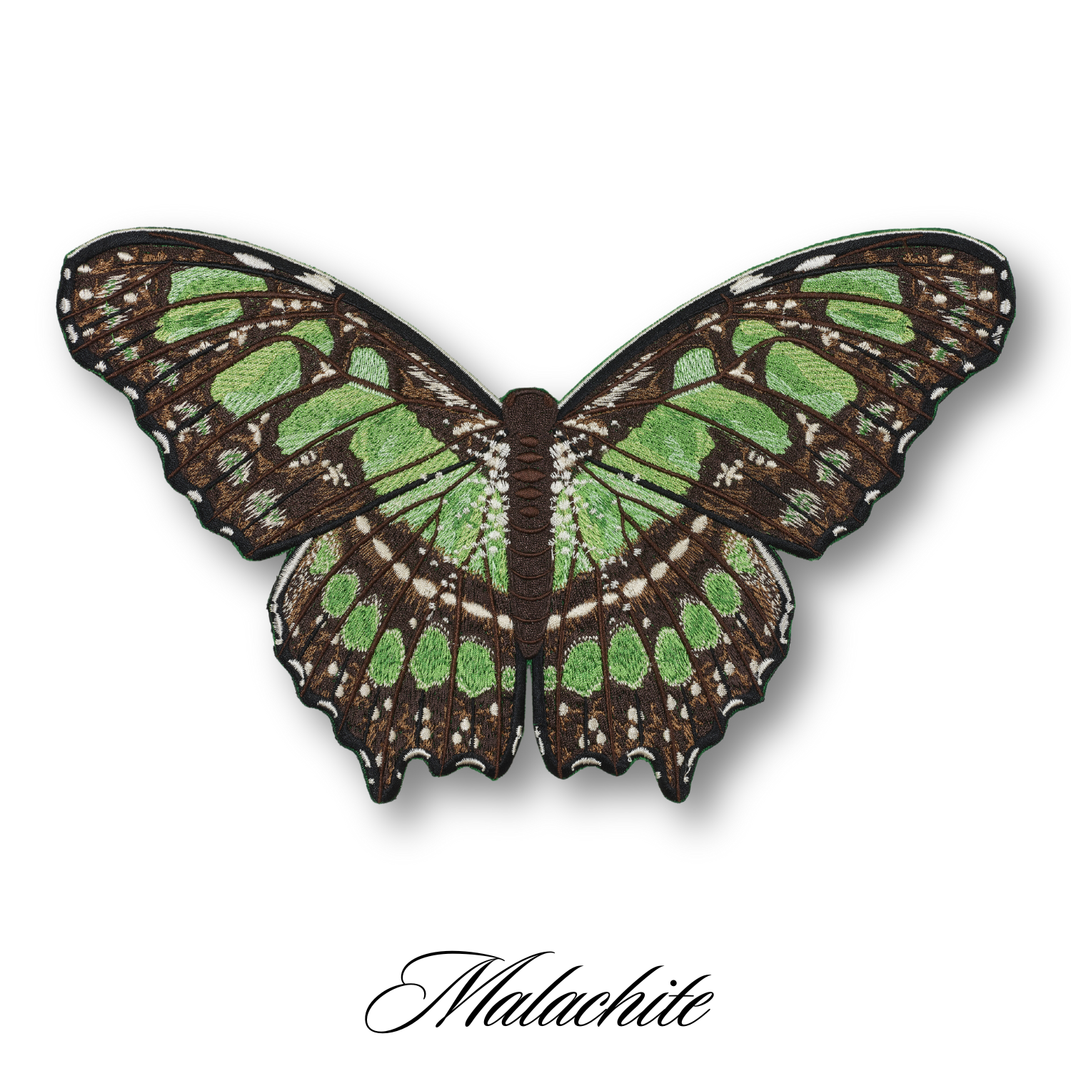 Malachite Butterfly