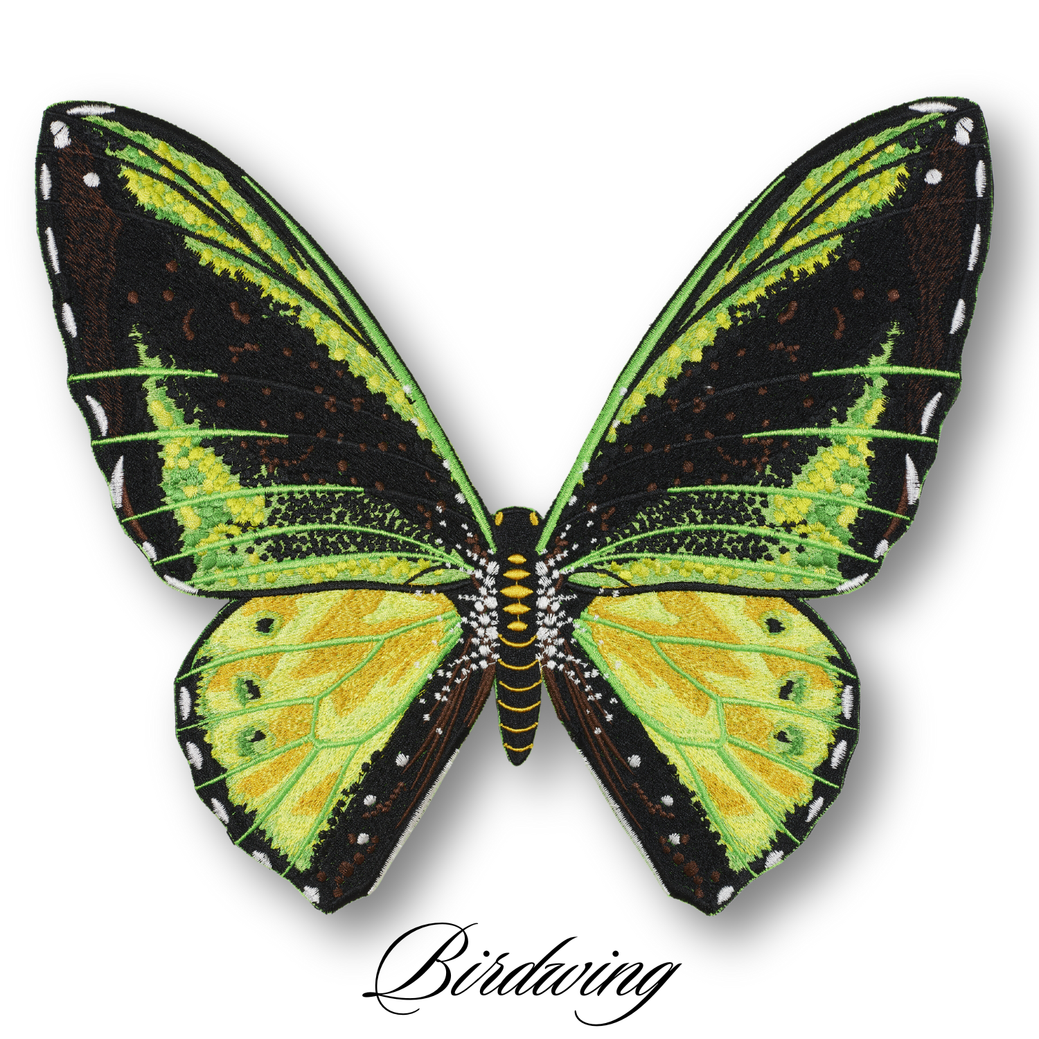 Green Birdwing Butterfly #17- Acrylic Mount