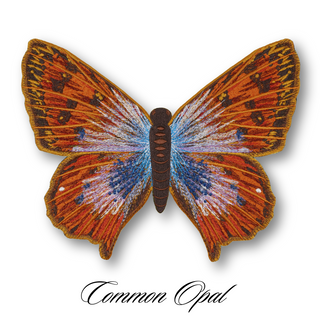 Butterfly Studies Pre-Order