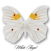 White Angel Butterfly #60- Acrylic Mount