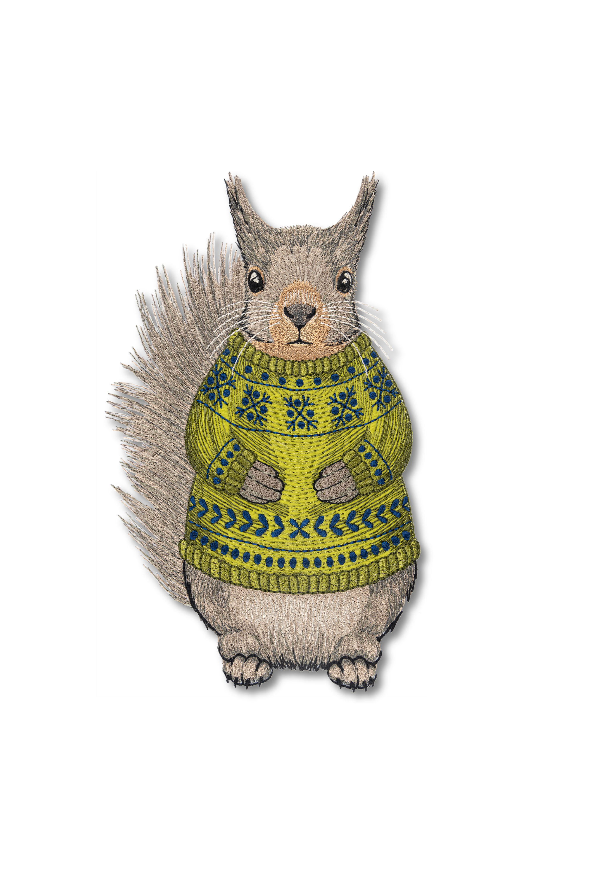 Squirrel in a Sweater