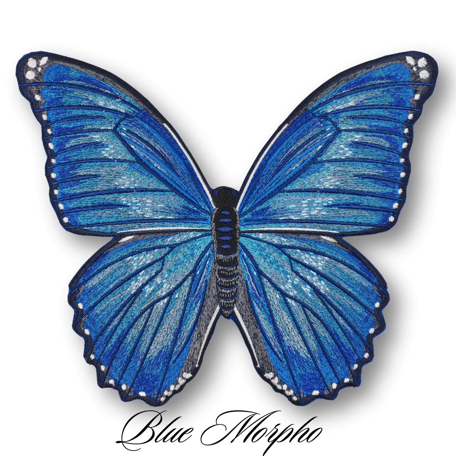 Morpho Butterfly