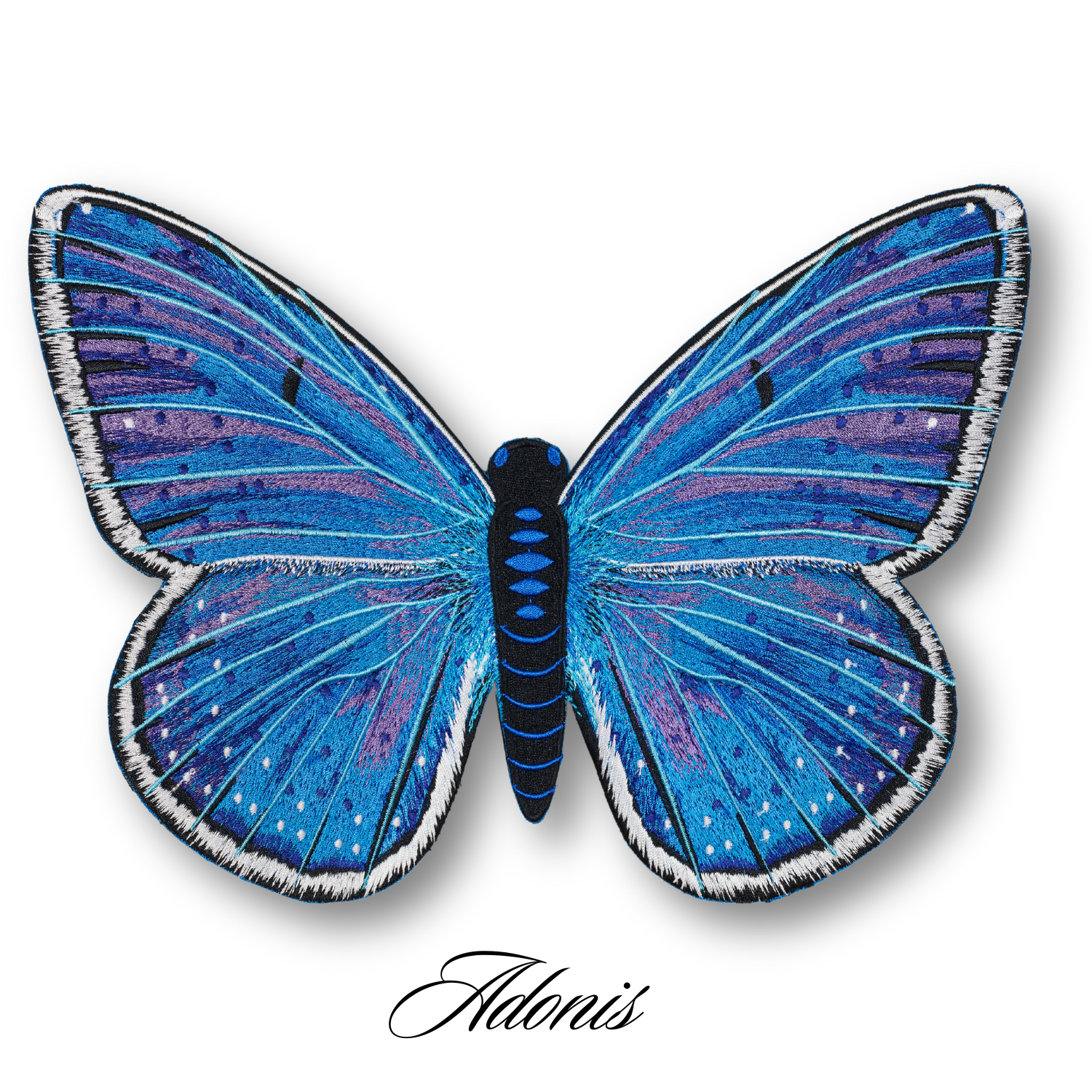 Adonis Blue Butterfly
