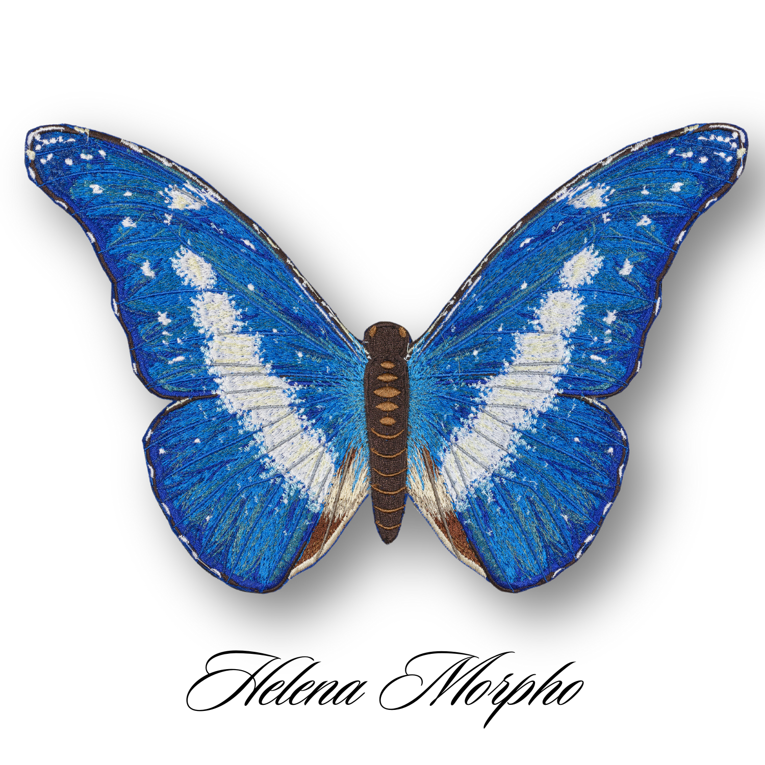 Blue Morpho Helena Butterfly