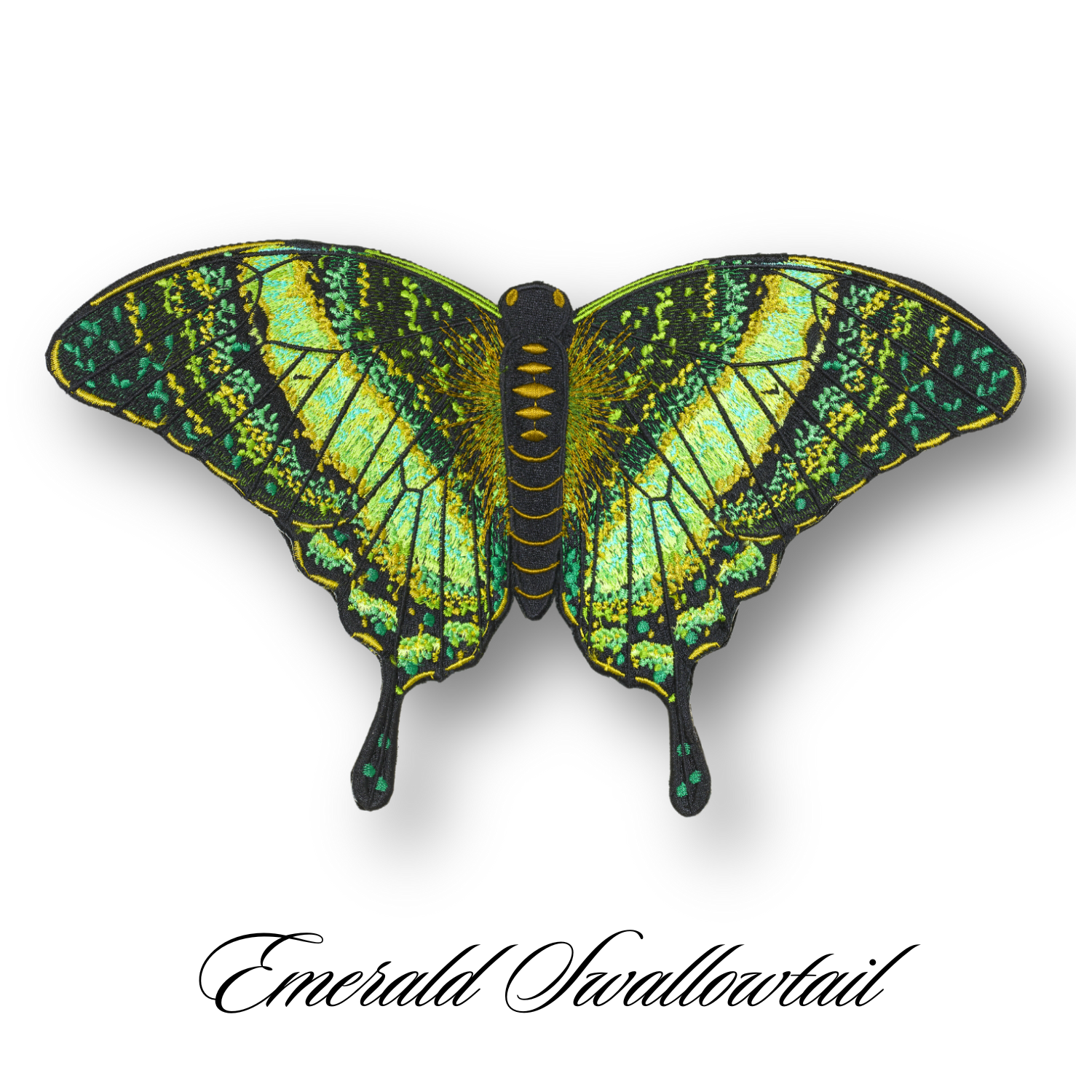 Emerald Swallowtail Butterfly #104- Acrylic Mount