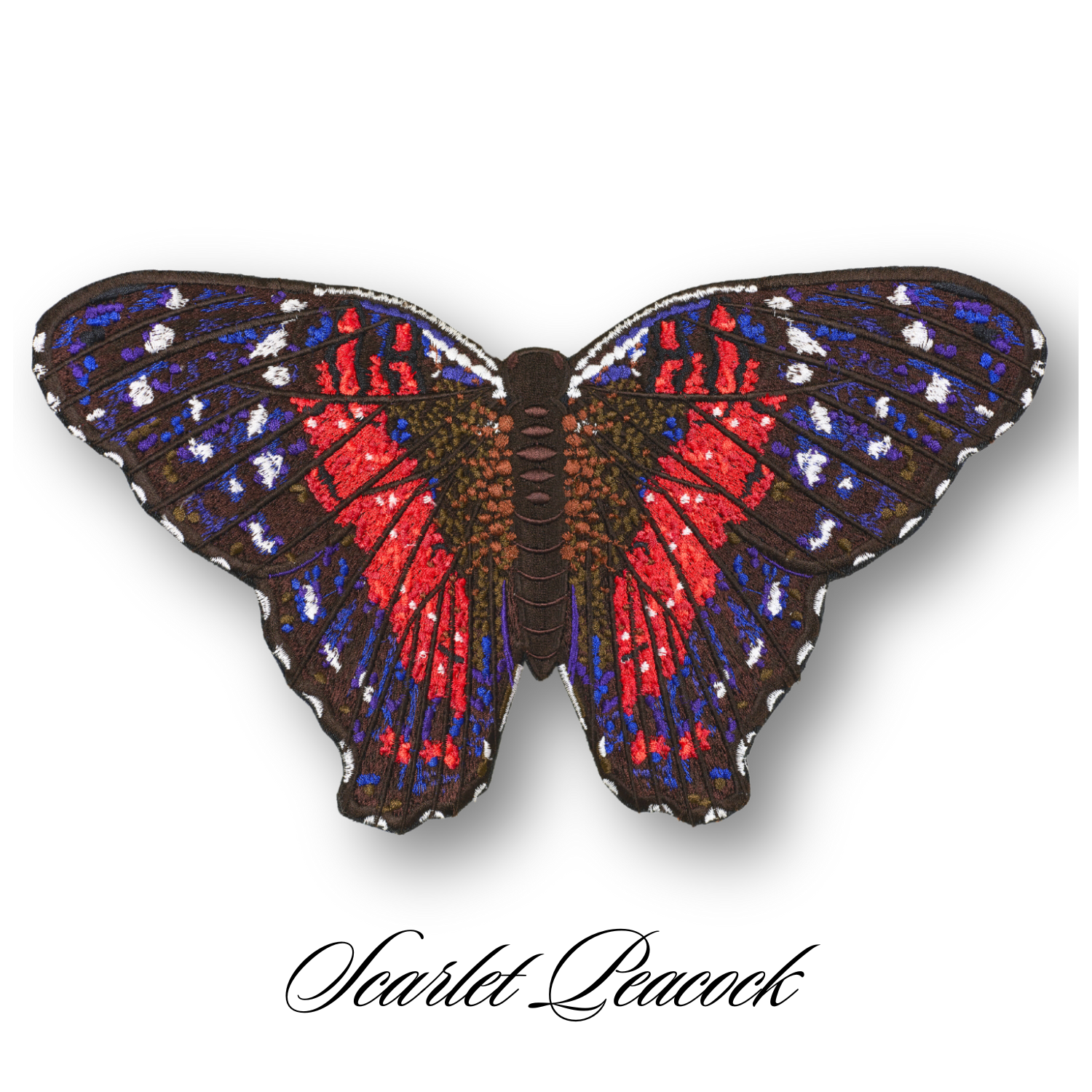 Scarlet Peacock Butterfly #105- Acrylic Mount