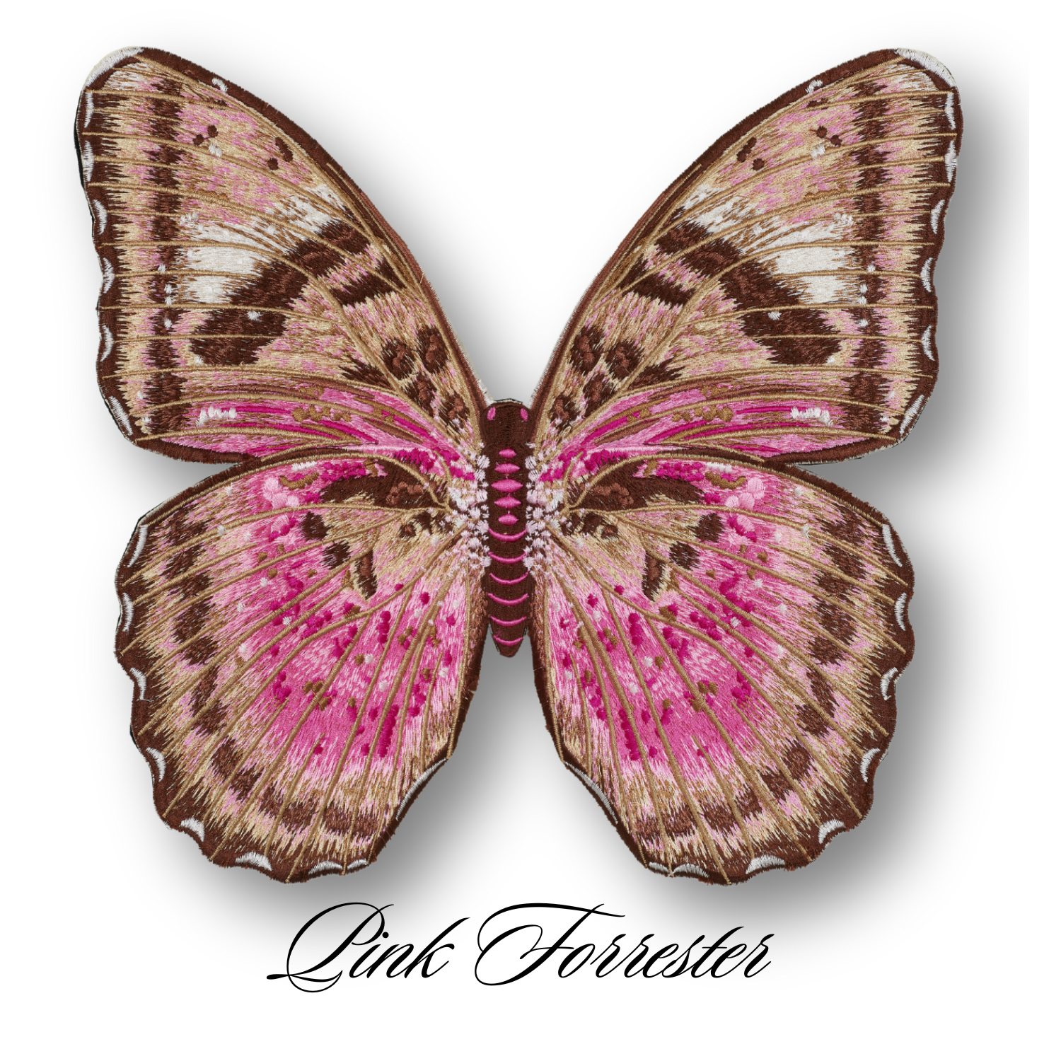 Pink Forrester Butterfly #108- Acrylic Mount