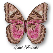 Pink Forrester Butterfly #108- Acrylic Mount