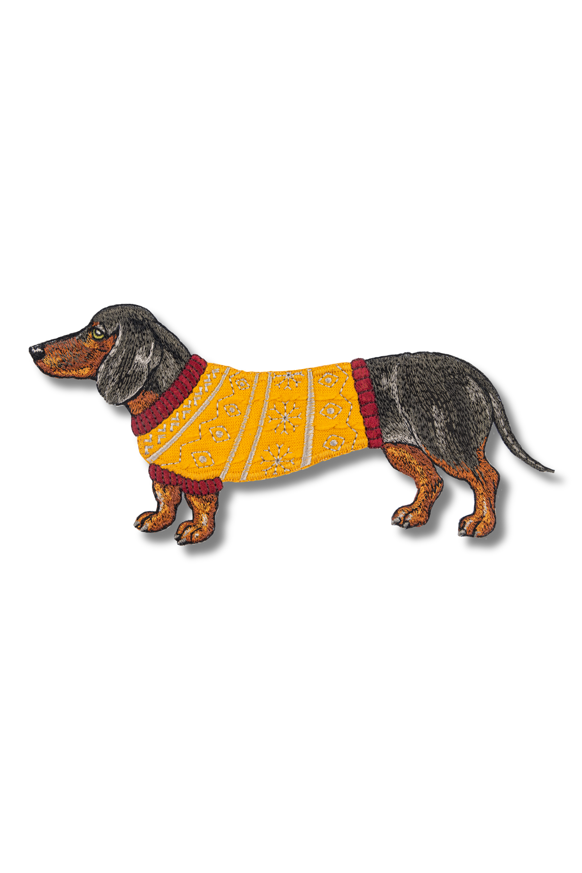 Dachsund in a Sweater