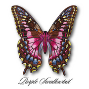 Purple Swallowtail Butterfly #113- Acrylic Mount