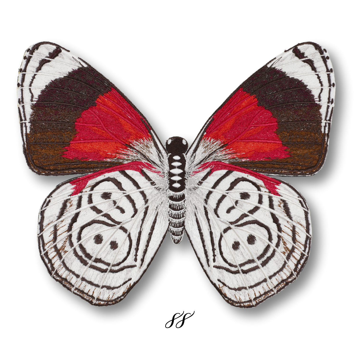 SS Butterfly #14- Acrylic Mount