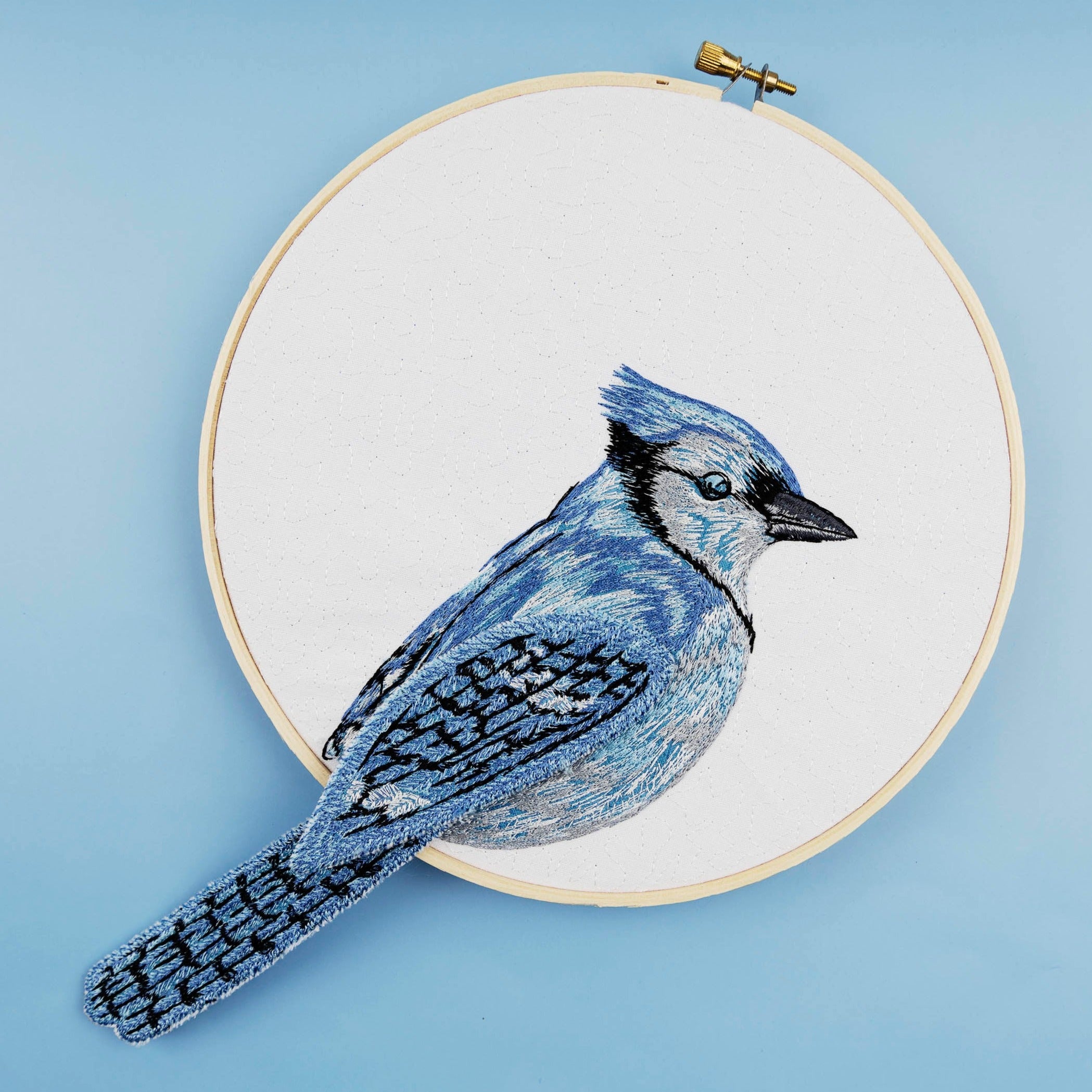 The Good Luck Blue Jay