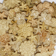 Toast Cactus Deluxe Embroidery Kit