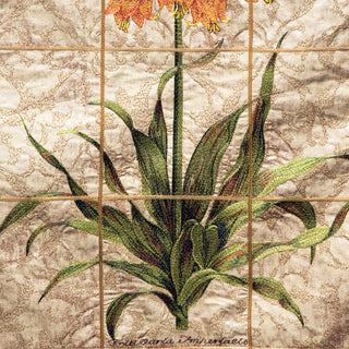 Fritillaria Crown Imperial