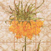 Fritillaria Crown Imperial