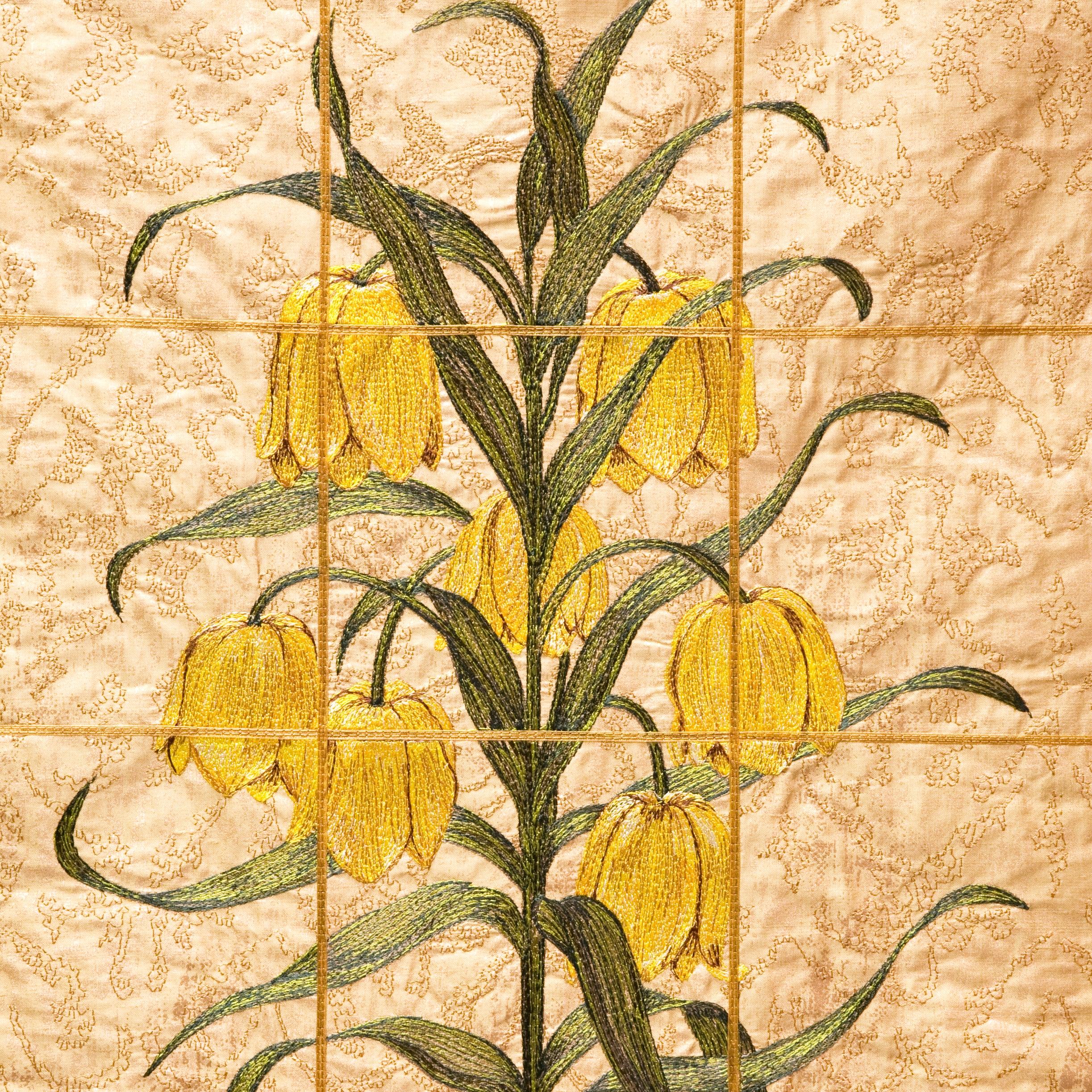 Fritillaria Pallidiflora