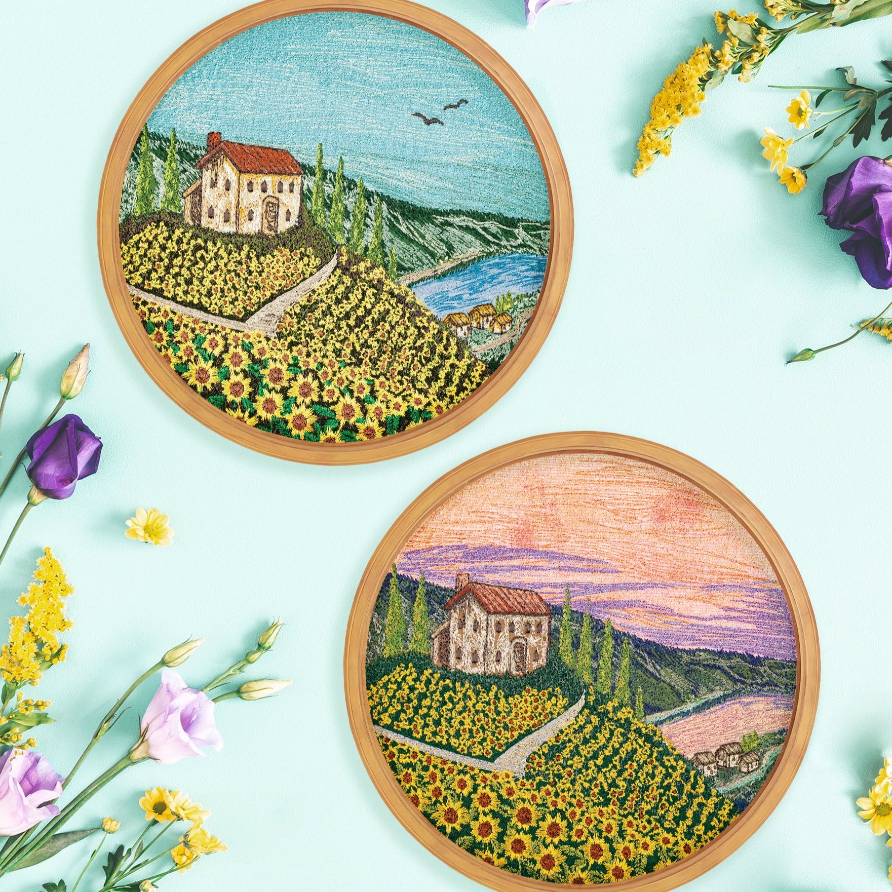 Flower Field Timelapse