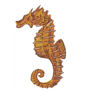 Seahorse