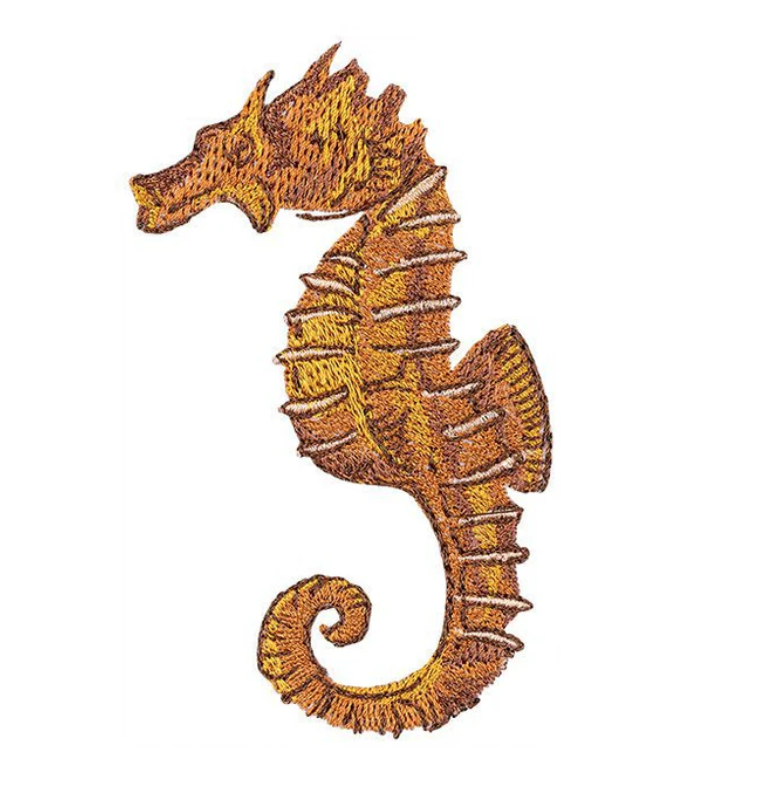 Seahorse