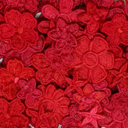 Raspberry - heart -Deluxe Embroidery Kit