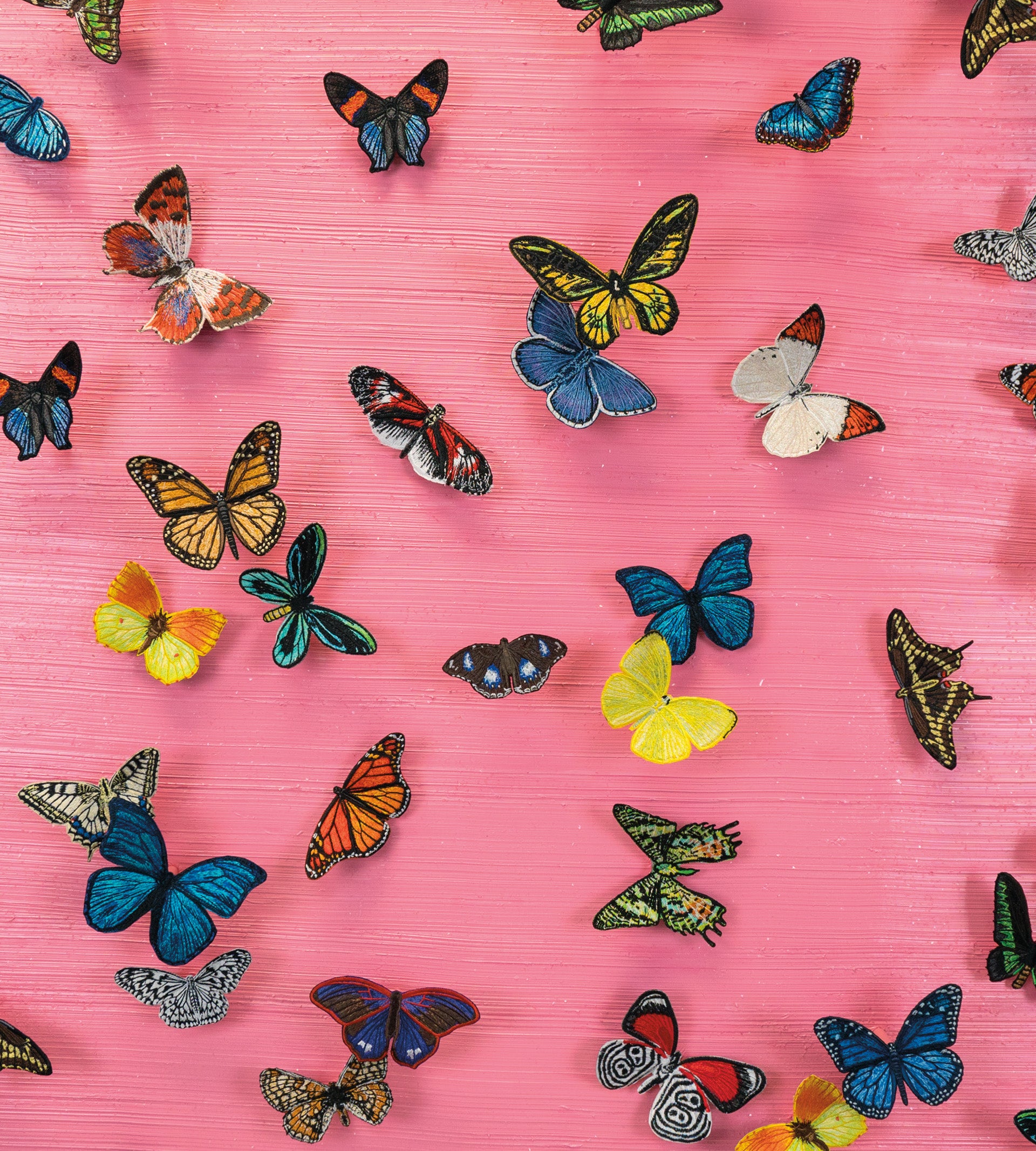 Signature Series Volume II: Butterflies