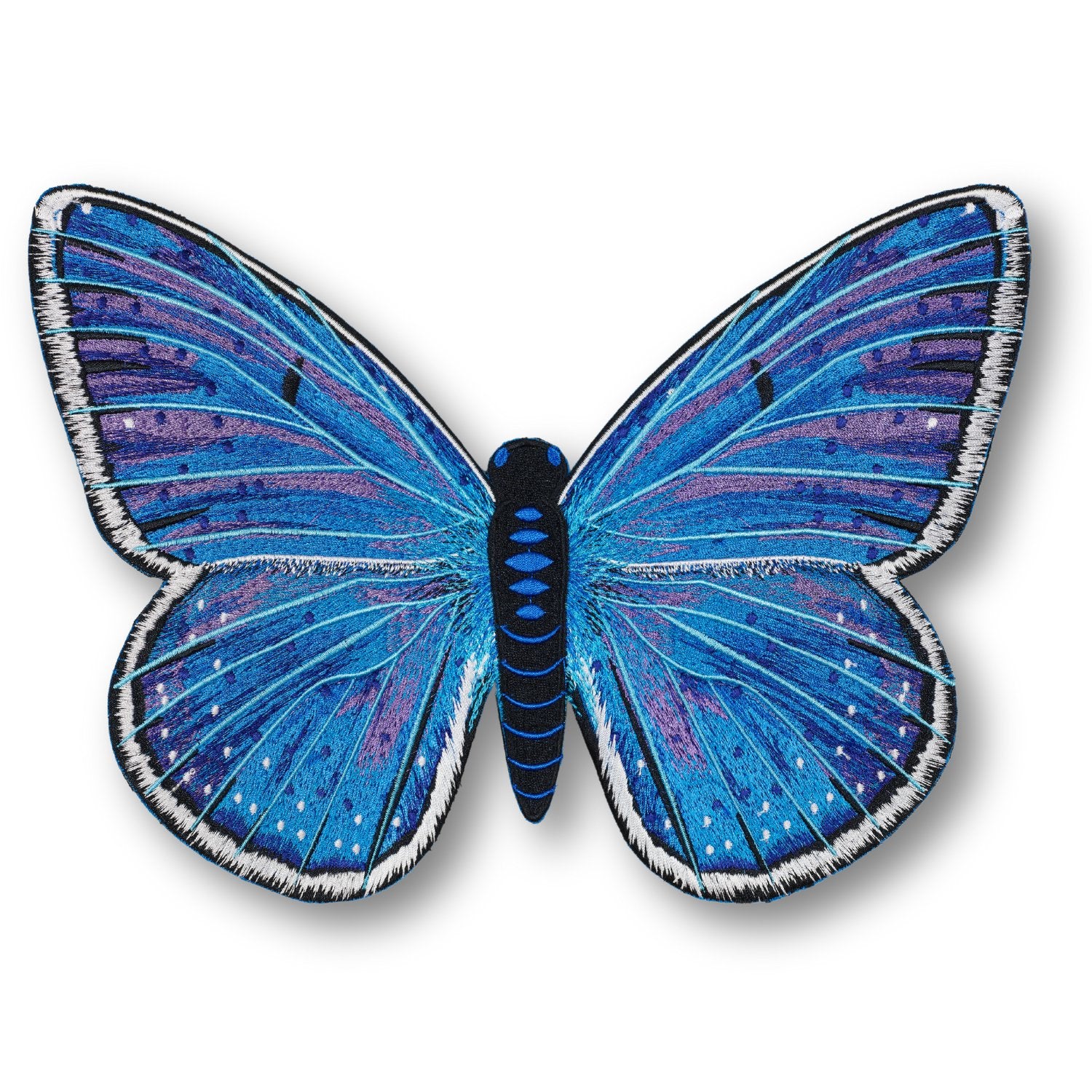 Adonis Blue Butterfly #34- Acrylic Mount