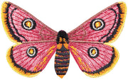 African Moth Butterfly #83- Acrylic Mount
