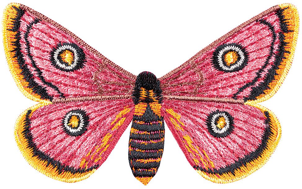 African Moth Butterfly #83- Acrylic Mount