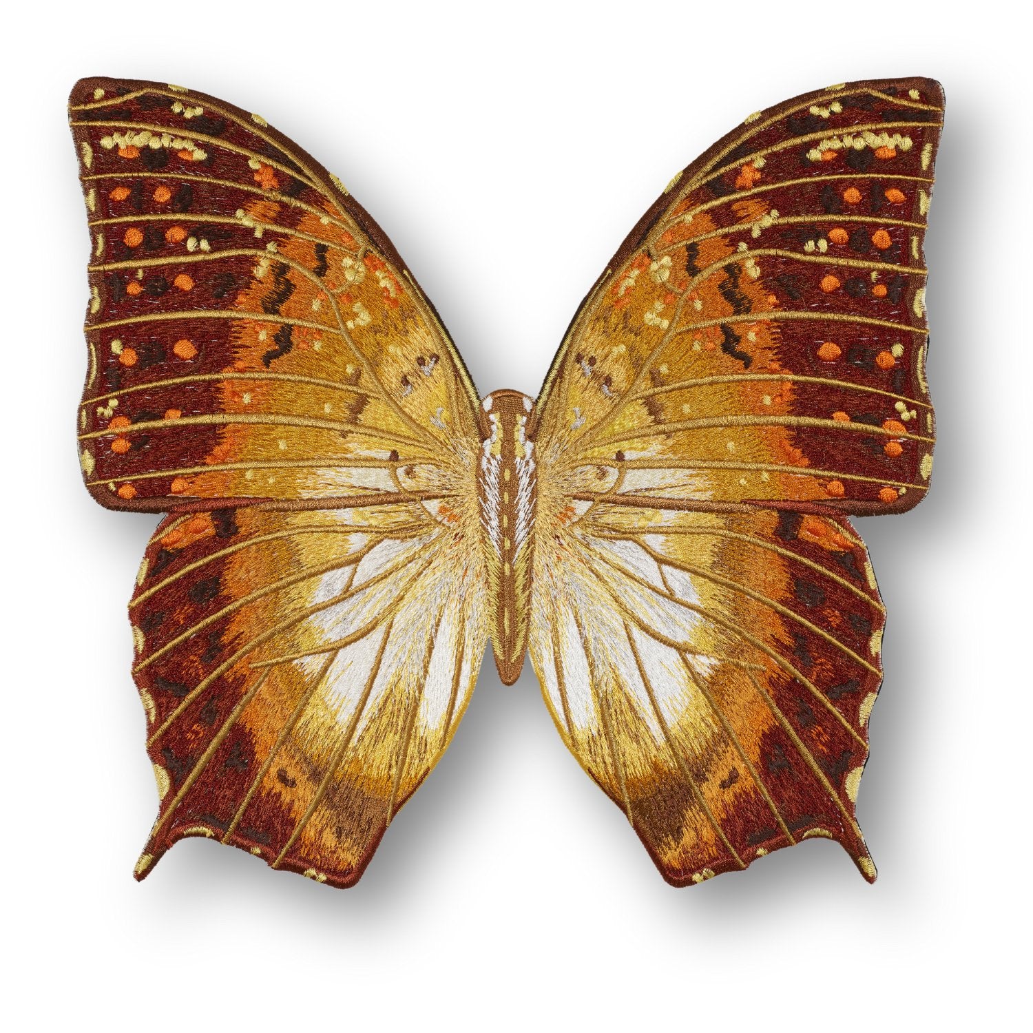 Charaxas Butterfly #107- Acrylic Mount