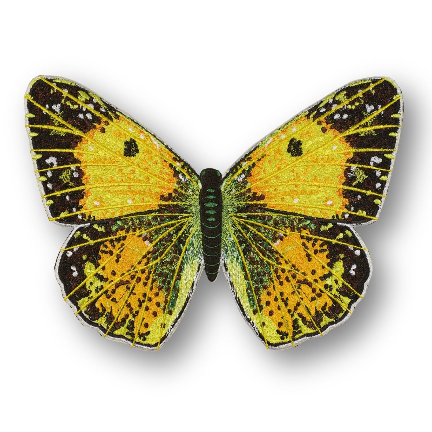 Clouded Sulfur Butterfly #76- Acrylic Mount