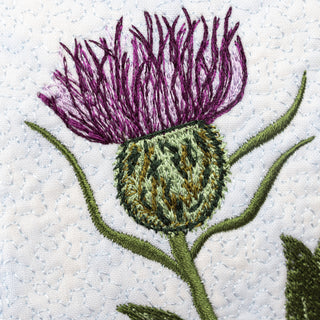 The Resilient Thistle