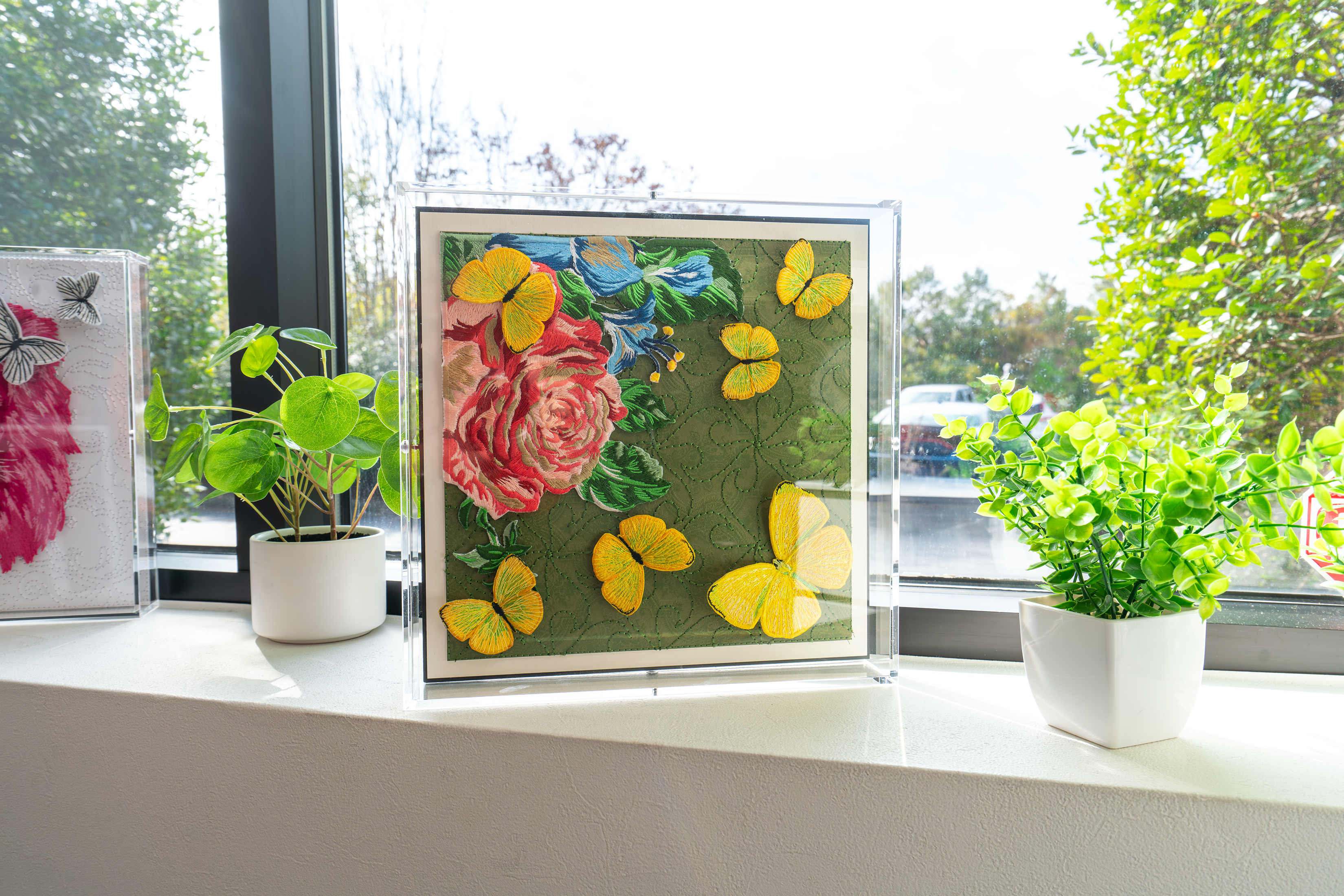 Acrylic Frames  - All Sizes