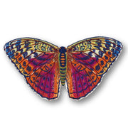 Forrester Butterfly #55- Acrylic Mount