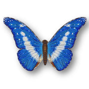 Blue Morpho Helena Butterfly #25- Acrylic Mount