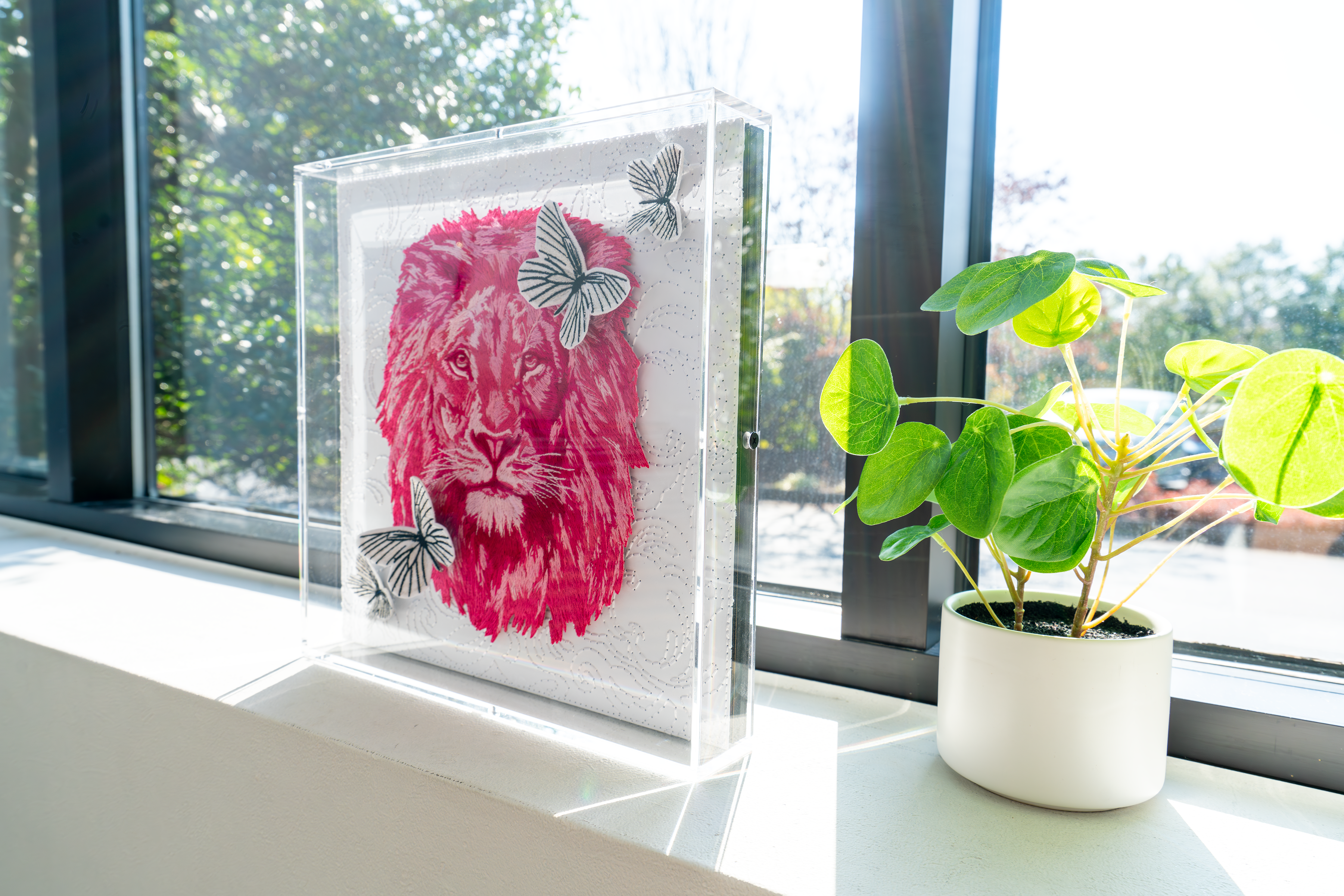 Acrylic Frames  - All Sizes