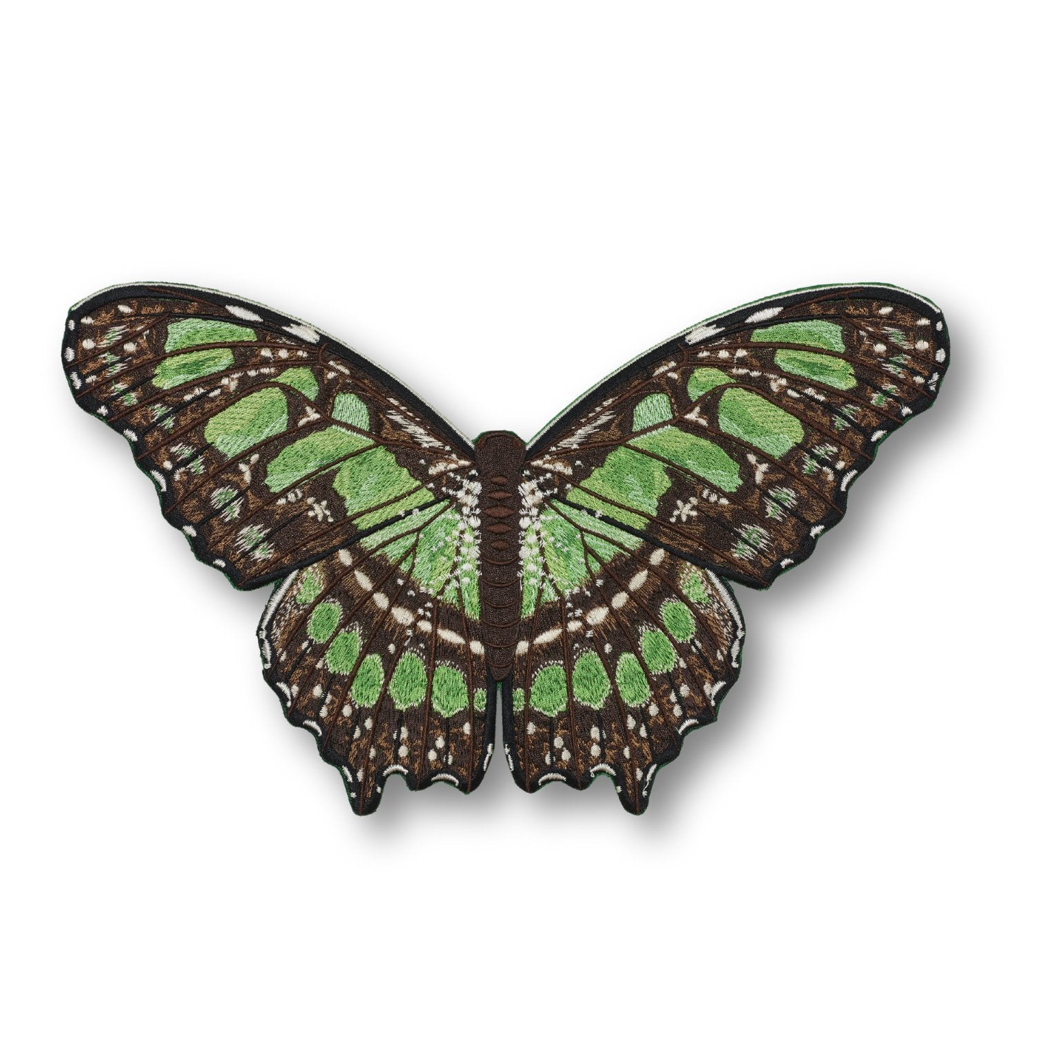 Malachite Butterfly #18- Acrylic Mount